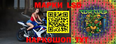 прущие грибы Кулебаки