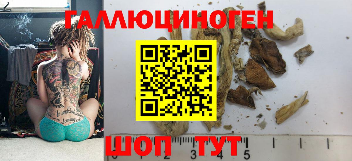 Керчь  Псилоцибиновые грибы Psilocybine cubensis  закладка  Псилоцибиновые грибы прущие грибы  Вход с VPN 